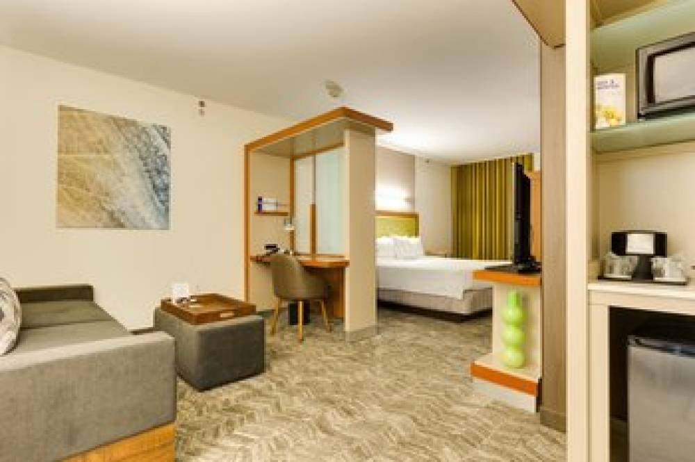 SpringHill Suites By Marriott McAllen Convention Center 5