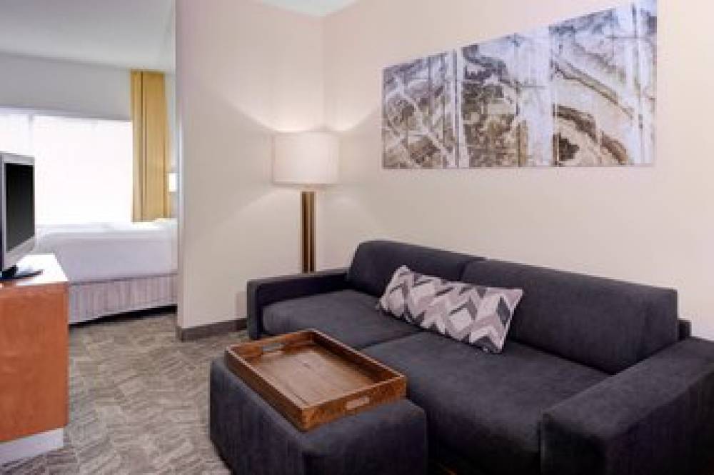 SpringHill Suites By Marriott Memphis East-Galleria 7