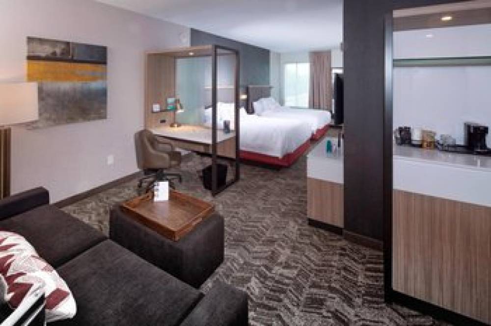 SpringHill Suites By Marriott Newark Downtown 3