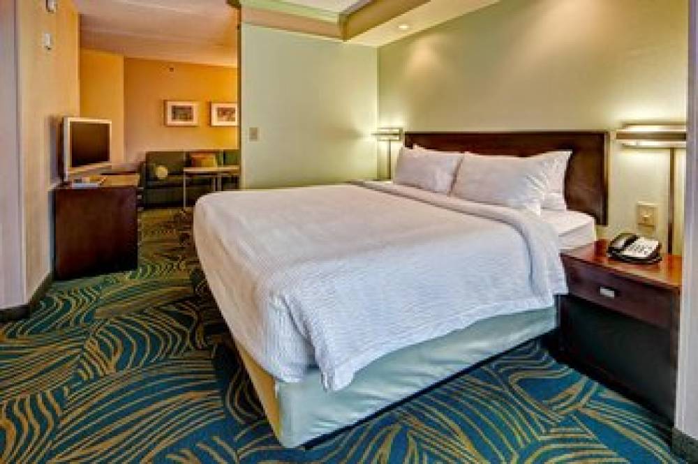 SpringHill Suites By Marriott Norfolk Old Dominion University 6