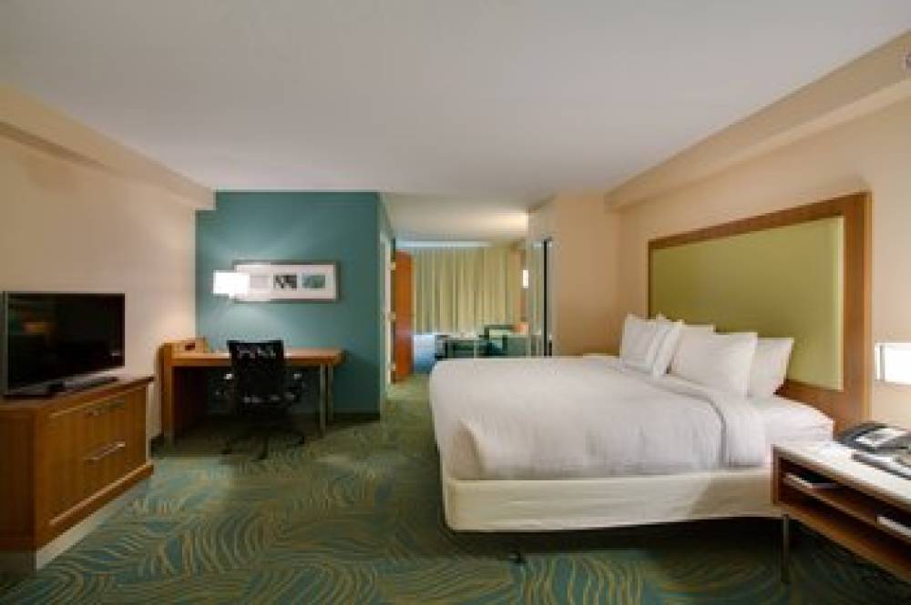 SpringHill Suites By Marriott Orlando Lake Buena Vista South 6