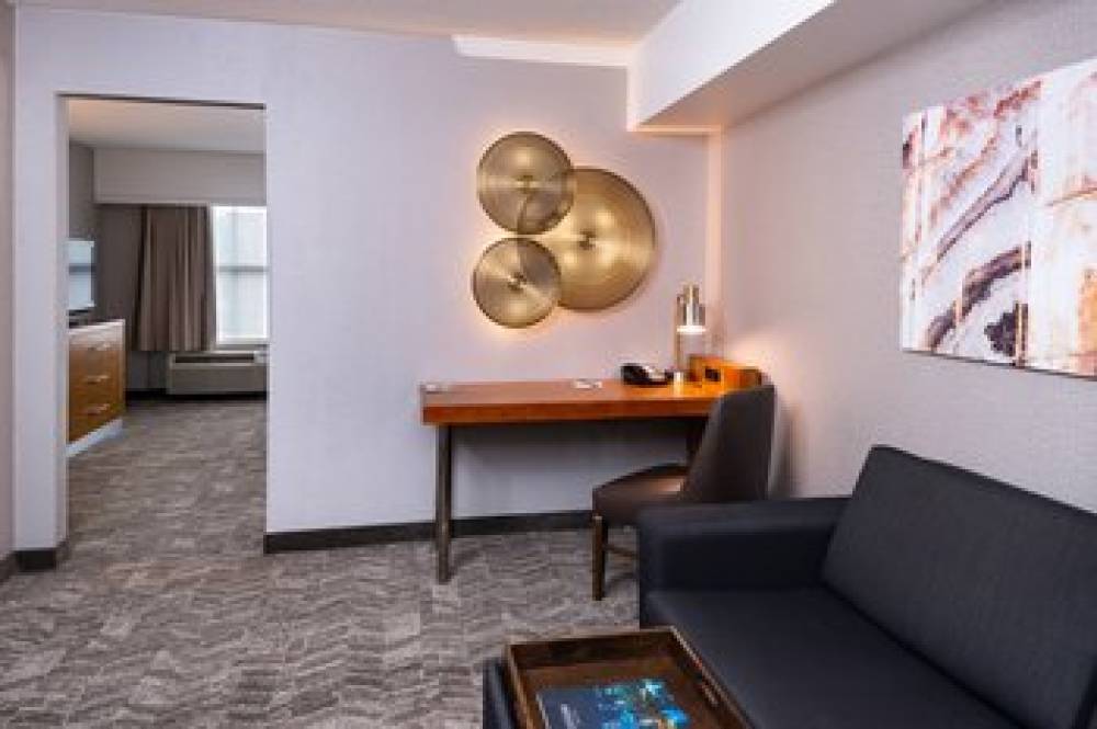 SpringHill Suites By Marriott Pittsburgh North Shore 10