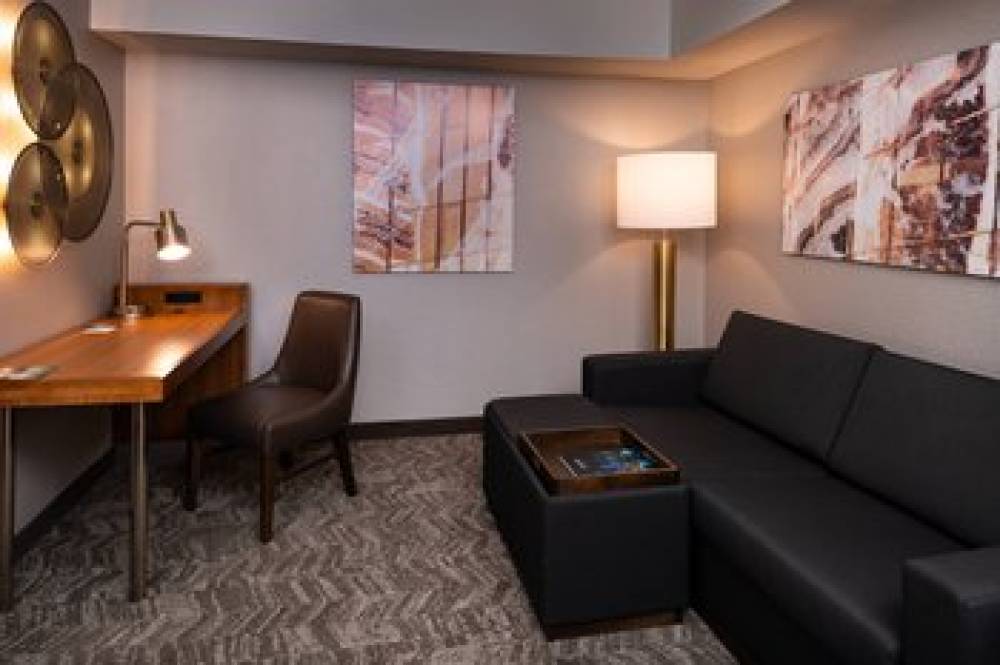 SpringHill Suites By Marriott Pittsburgh North Shore 1