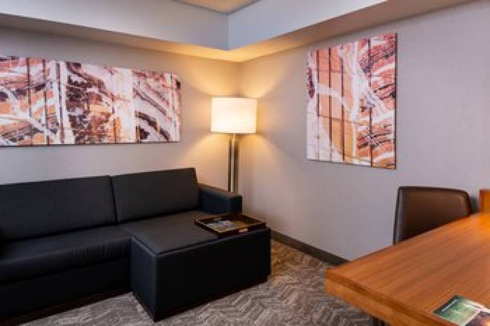 SpringHill Suites By Marriott Pittsburgh North Shore 6