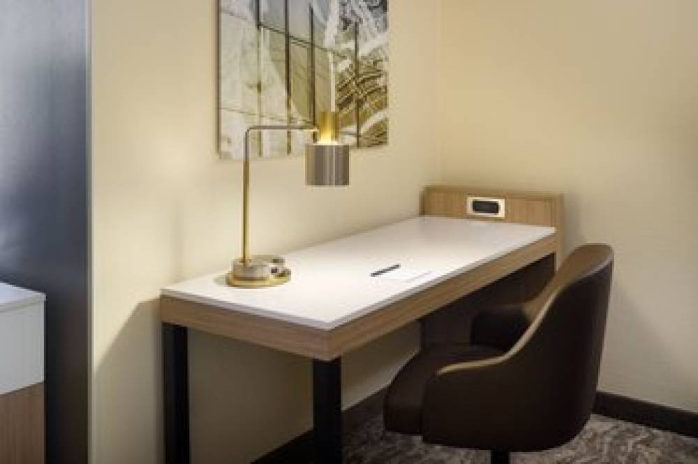 SpringHill Suites By Marriott Raleigh-Durham Airport Research Triangle Park 10