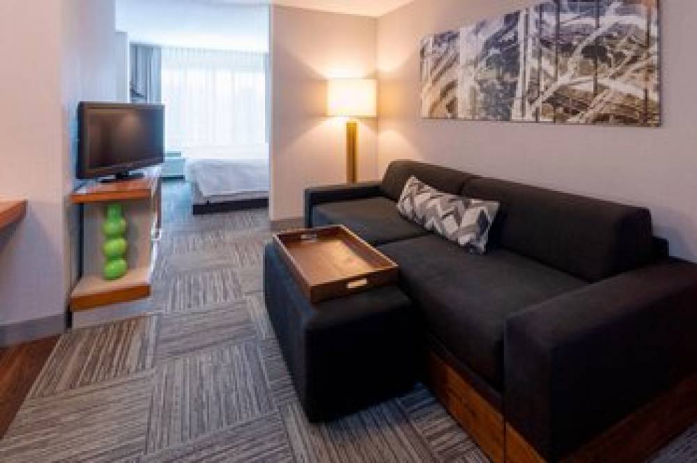 SpringHill Suites By Marriott Rochester Mayo Clinic Area Saint Marys 1