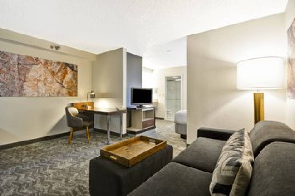 SpringHill Suites By Marriott San Antonio Medical Center-Northwest 7