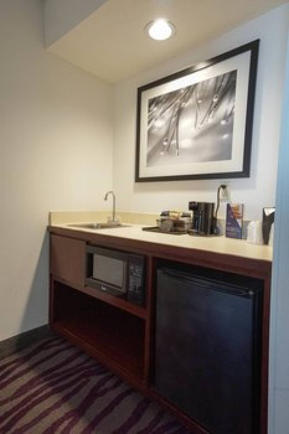 SpringHill Suites By Marriott Savannah Midtown 8