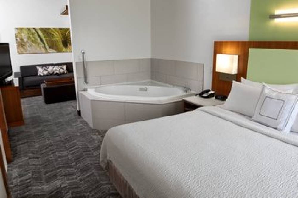 SpringHill Suites By Marriott Sioux Falls 8