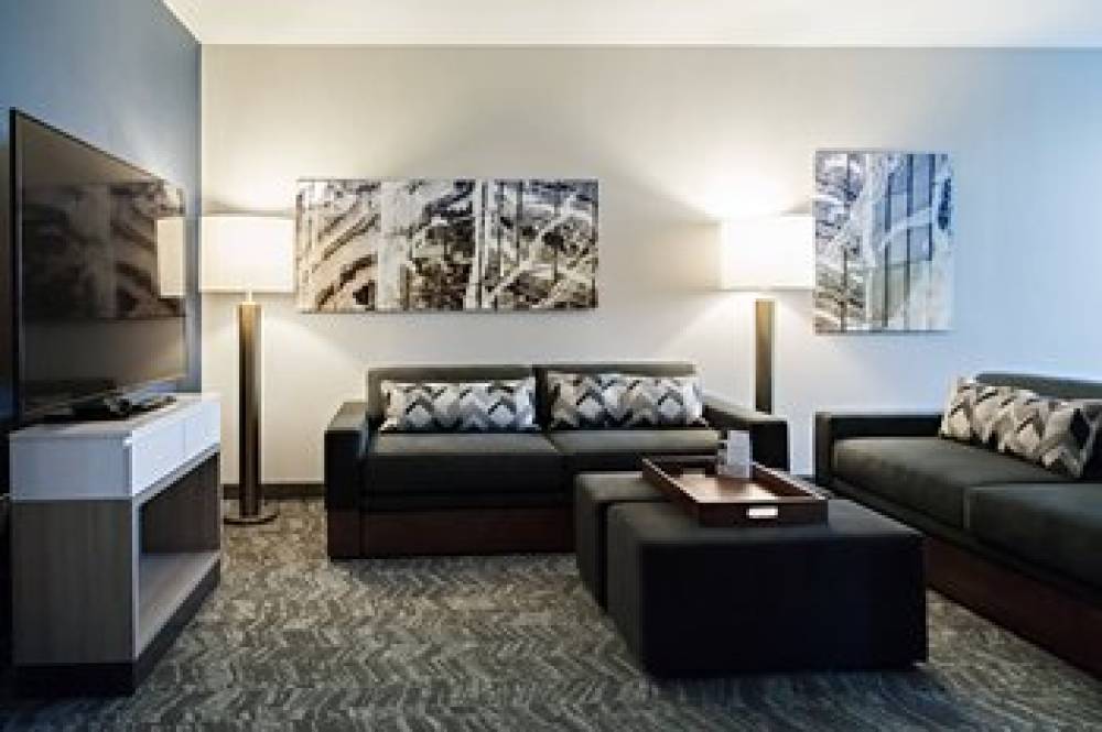 SpringHill Suites By Marriott Somerset Franklin Township 8