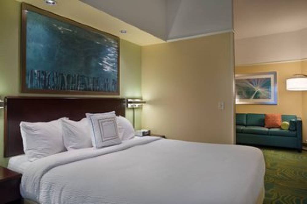 SpringHill Suites By Marriott St Petersburg Clearwater 7