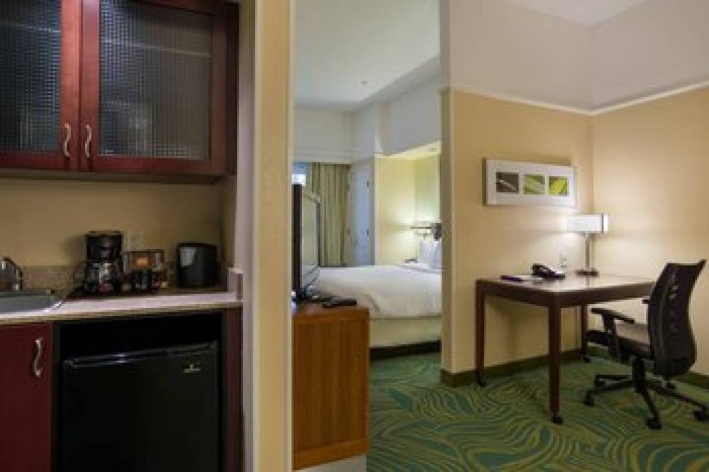 SpringHill Suites By Marriott St Petersburg Clearwater 8