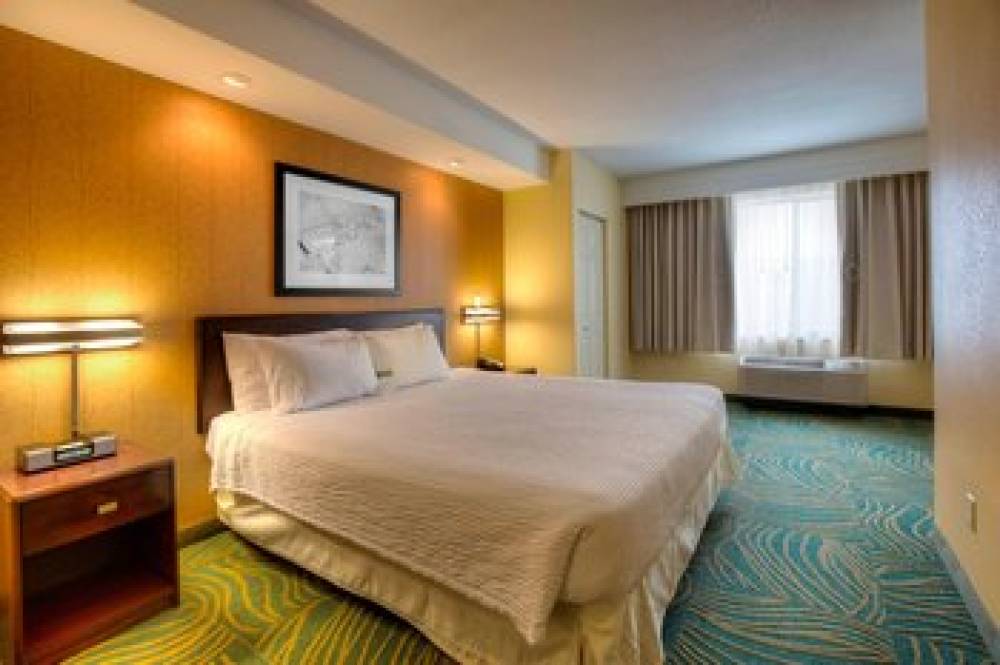 SpringHill Suites By Marriott Tampa Brandon 4