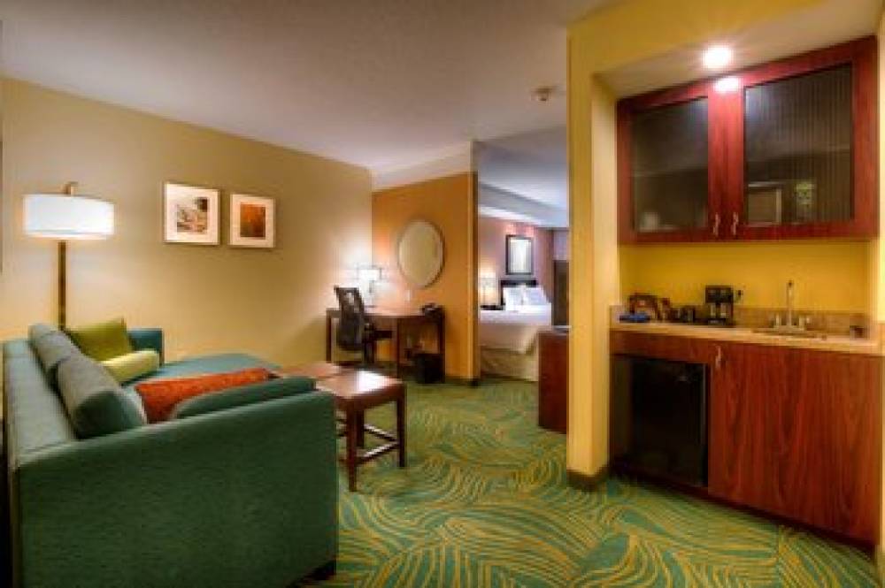 SpringHill Suites By Marriott Tampa Brandon 6