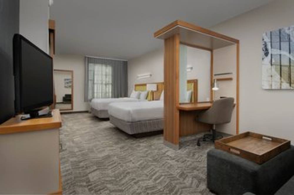 SpringHill Suites By Marriott Tuscaloosa 9