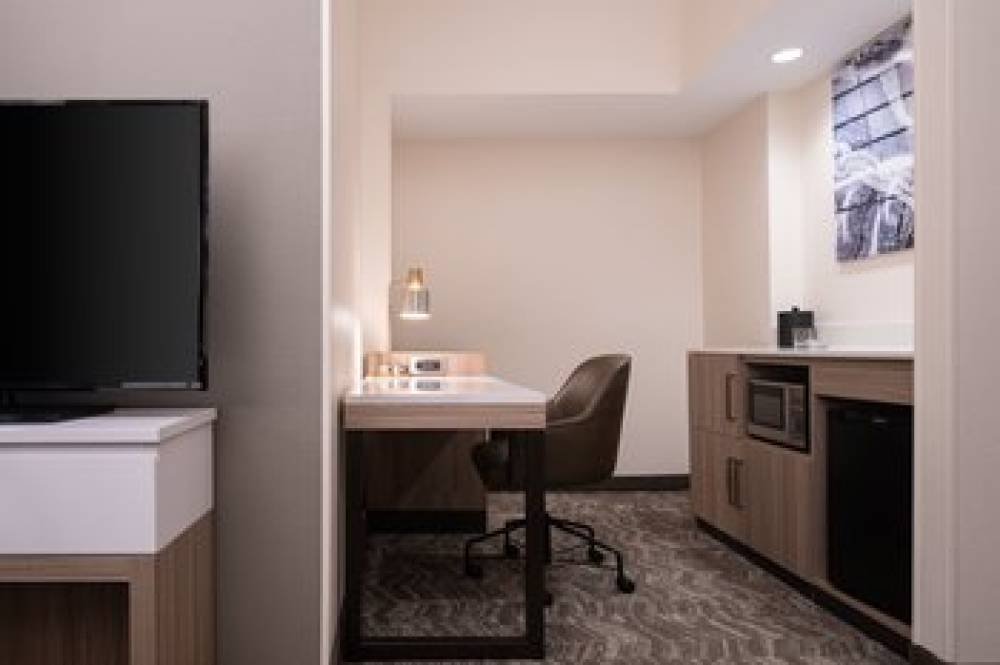 SpringHill Suites By Marriott West Mifflin 9