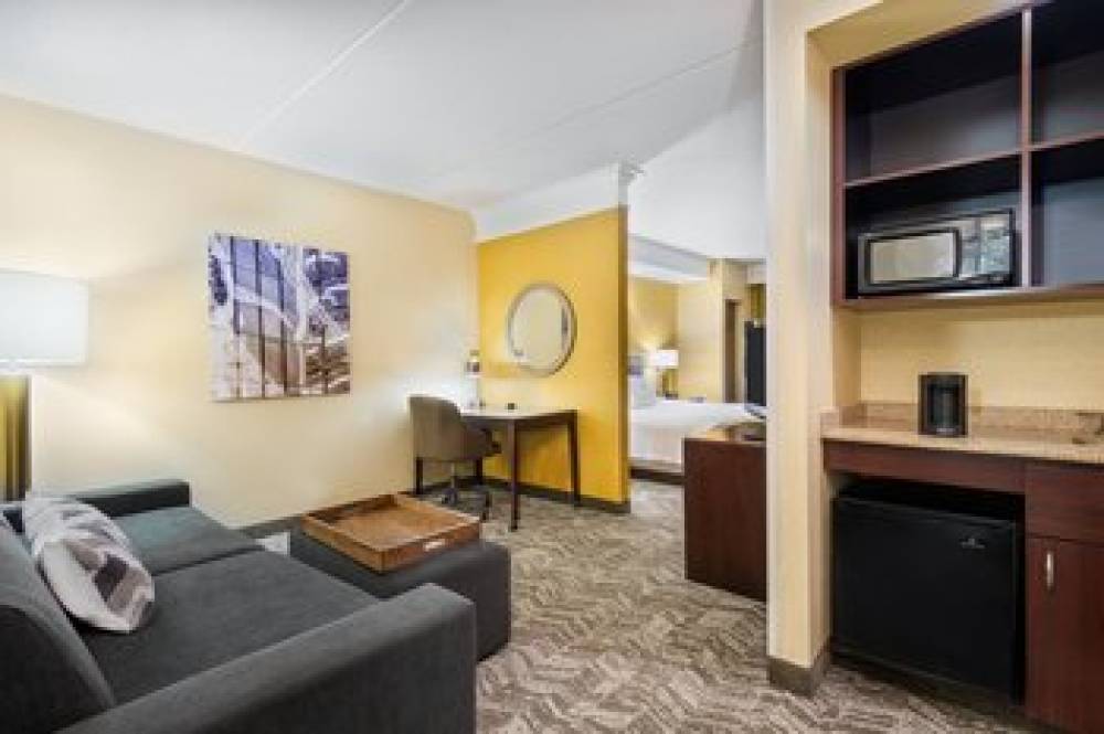 SpringHill Suites By Marriott Wheeling Triadelphia Area 9