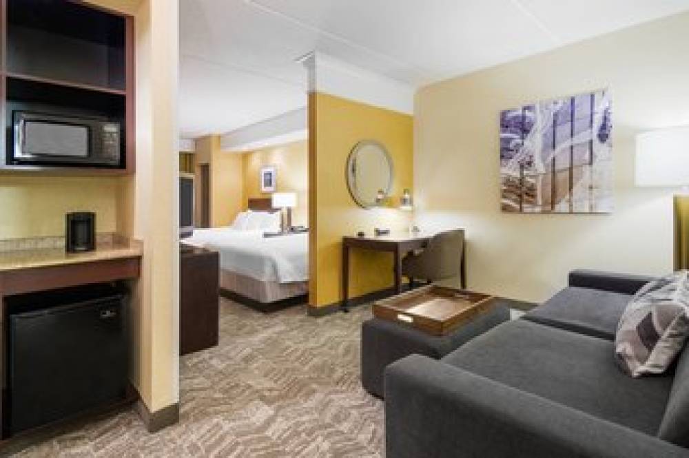 SpringHill Suites By Marriott Wheeling Triadelphia Area 7