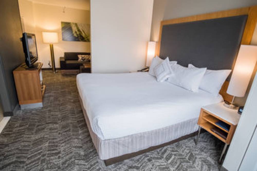 SpringHill Suites By Marriott Winston-Salem Hanes Mall 6