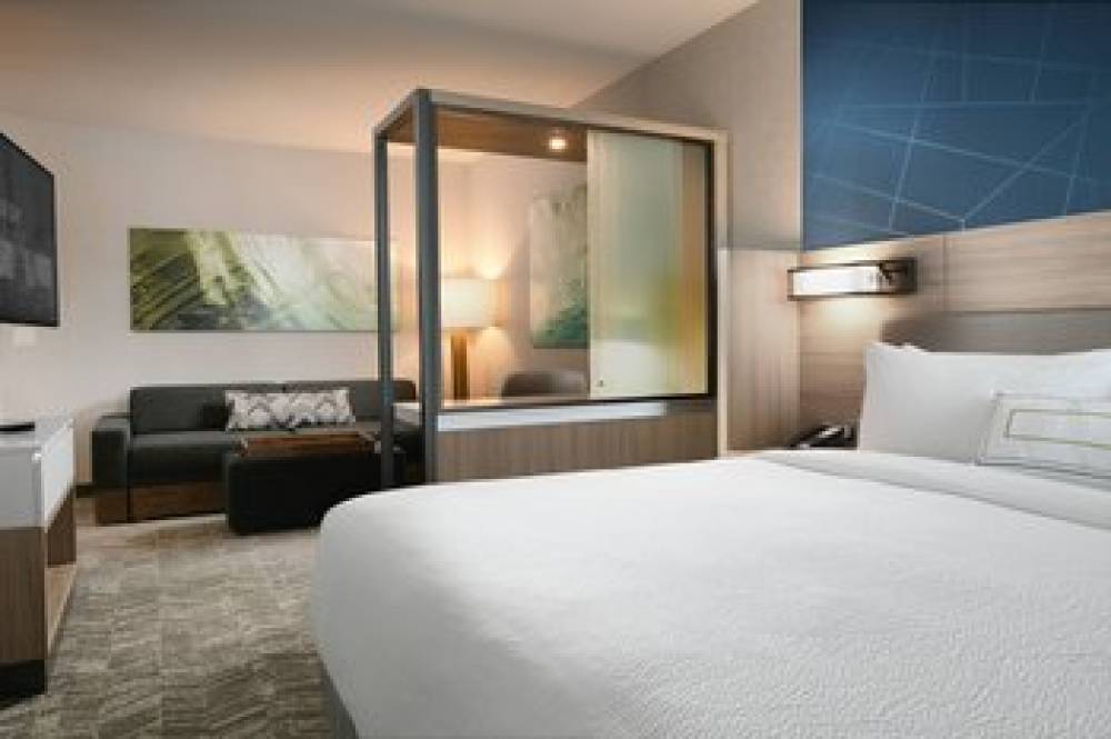 SpringHill Suites Dallas DFW Airport South-CentrePort 8