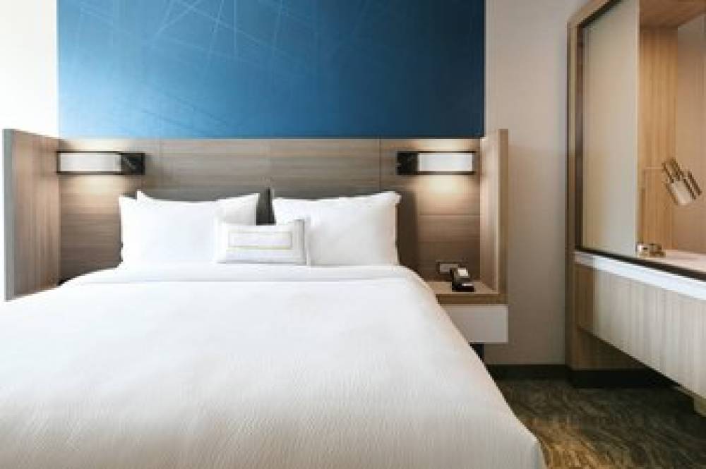 SpringHill Suites Dallas DFW Airport South-CentrePort 9