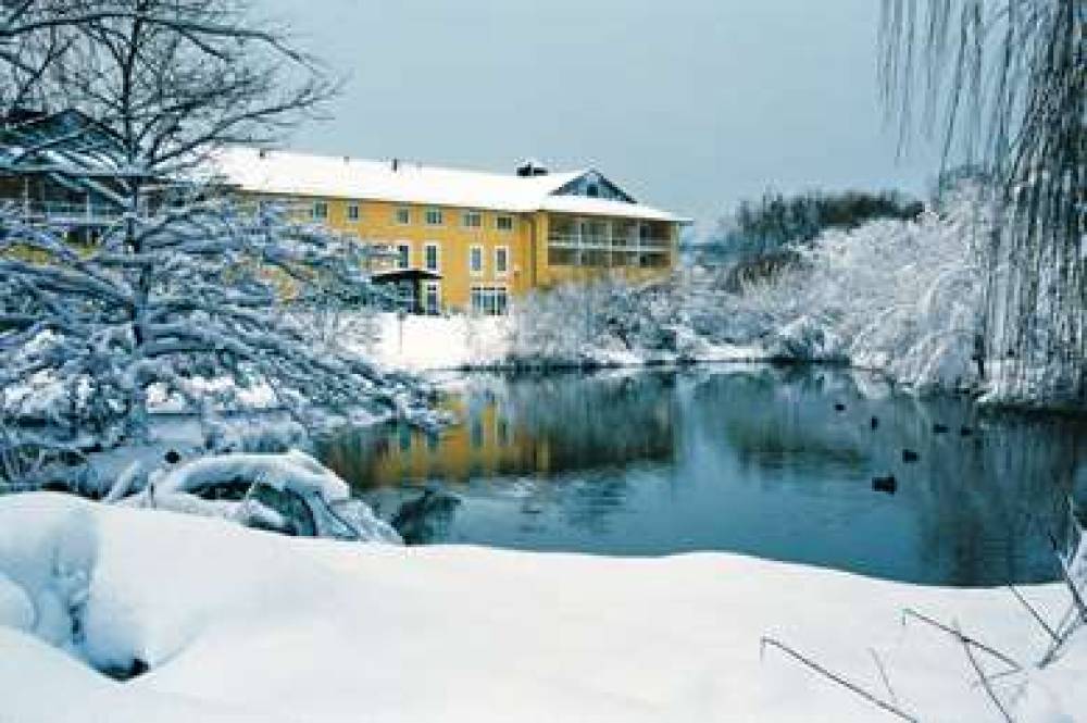 Steigenberger Hotel Deidesheim 1