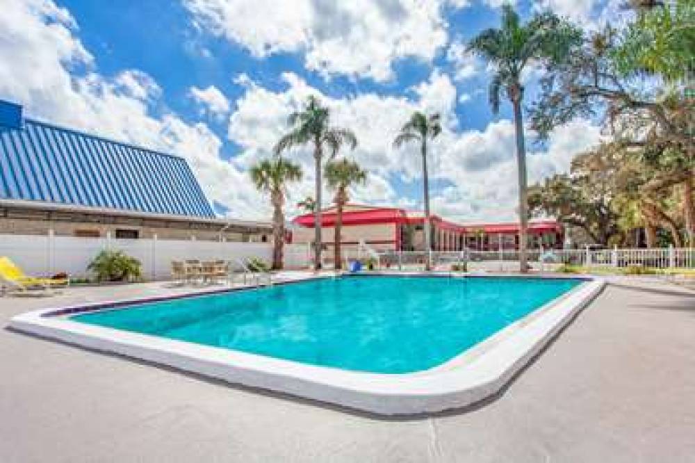 Super 8 By Wyndham Clearwater/US Hwy 19 N 7