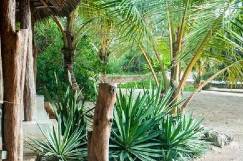 The Charming Lonno Lodge Watamu