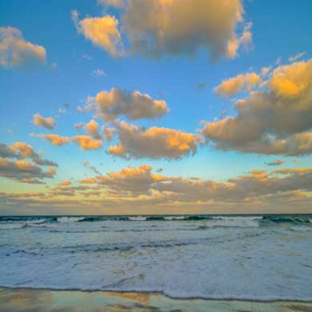 The Cove On Ormond Beach