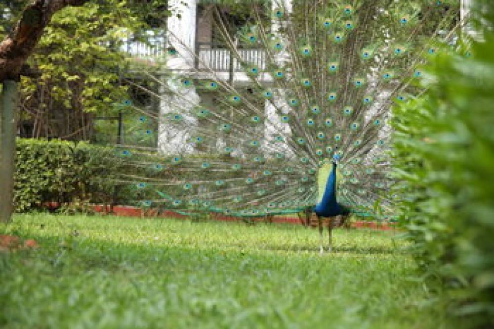 The Gateway Hotel Pasumalai 9