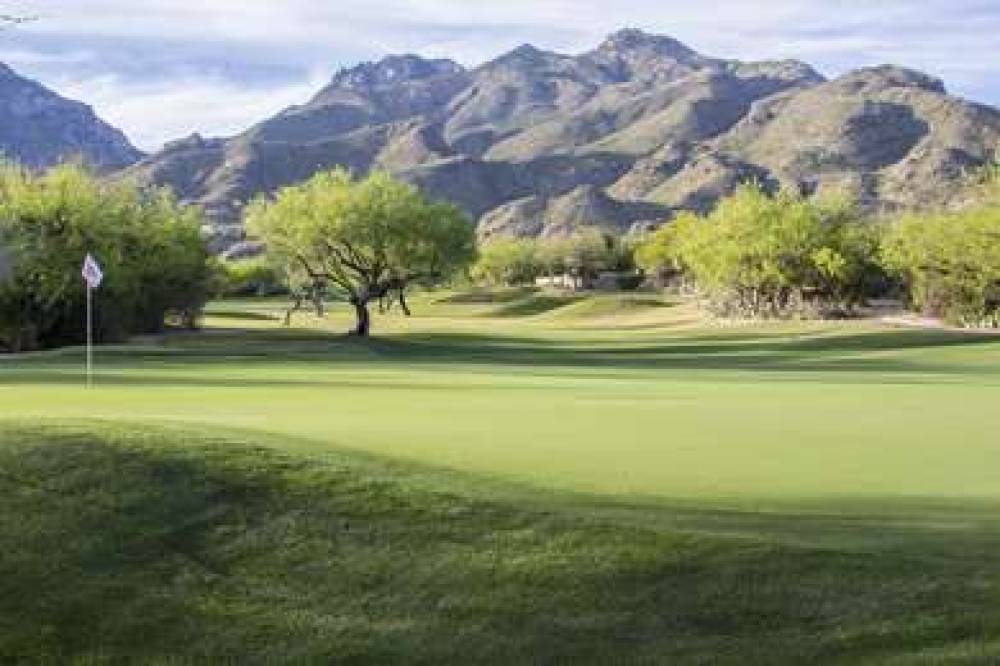 THE LODGE AT VENTANA CANYON 9