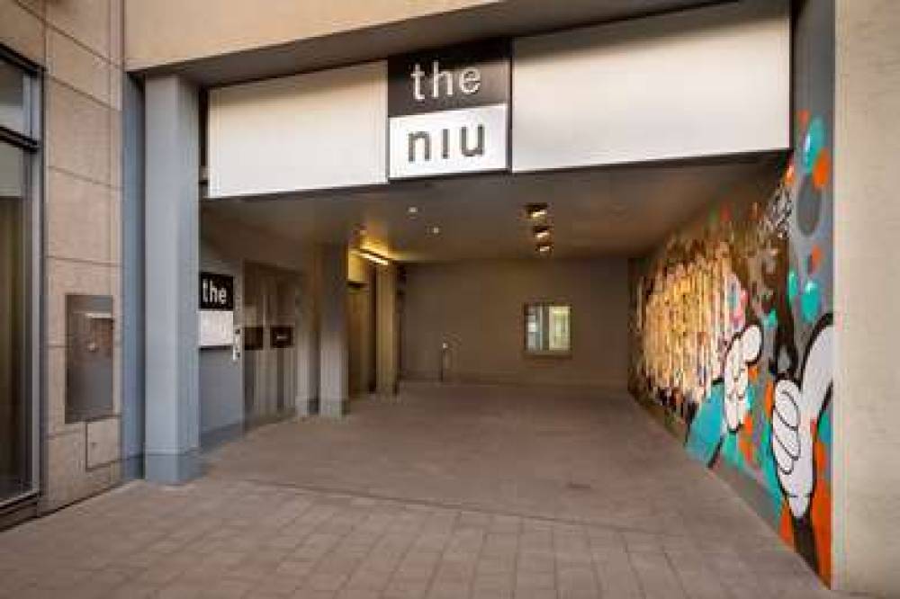 THE NIU HIDE BERLIN 3