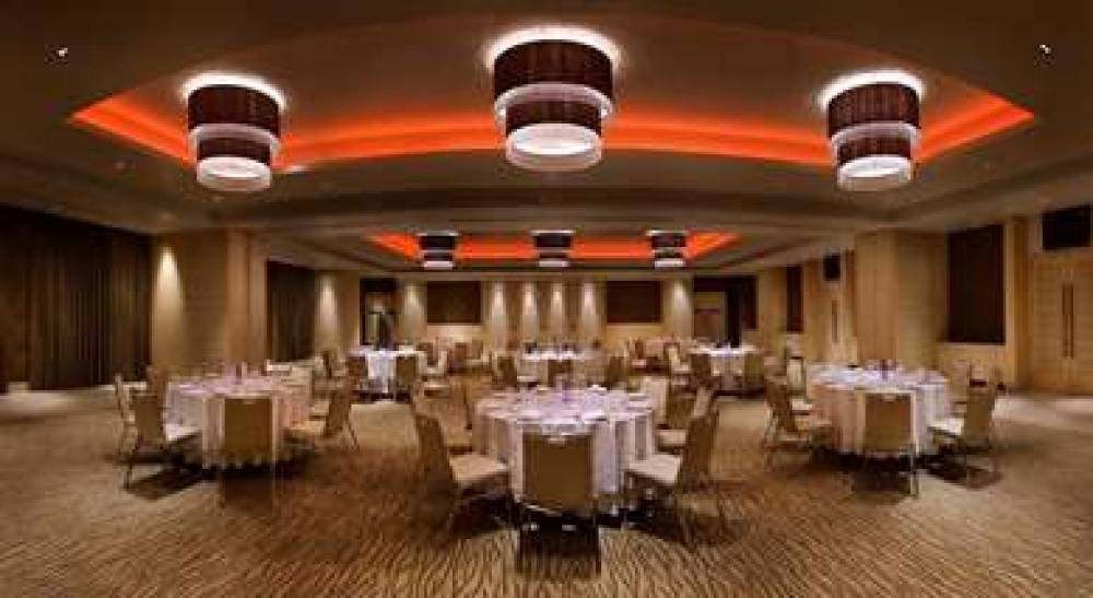 THE RAINTREE HOTEL ANNA SALAI 6