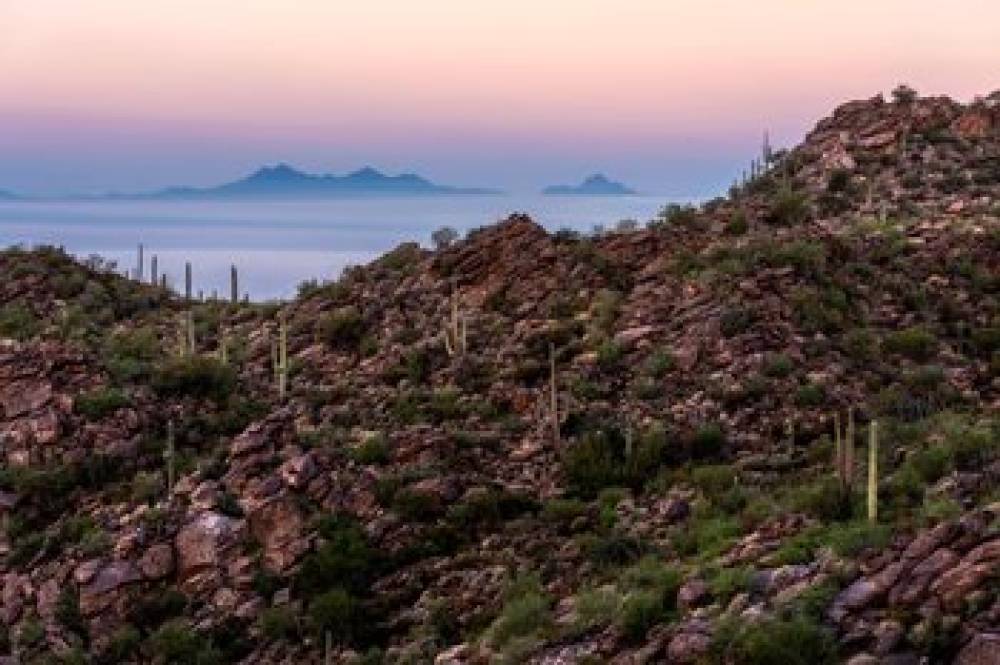 The Ritz-Carlton Dove Mountain 8