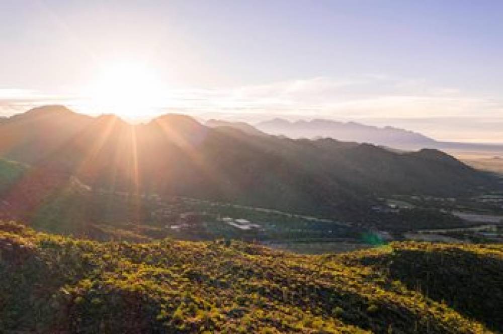 The Ritz-Carlton Dove Mountain 4