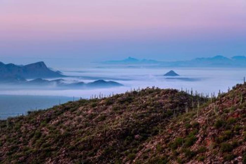 The Ritz-Carlton Dove Mountain 5