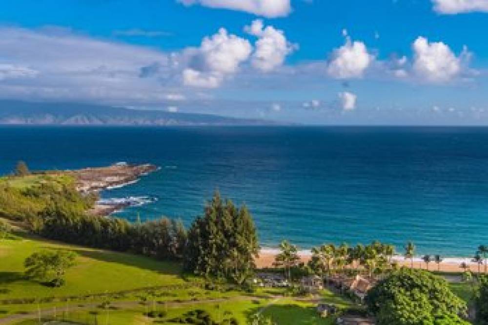 The Ritz-Carlton Maui Kapalua 6