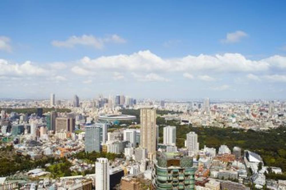 The Ritz-Carlton Tokyo 8