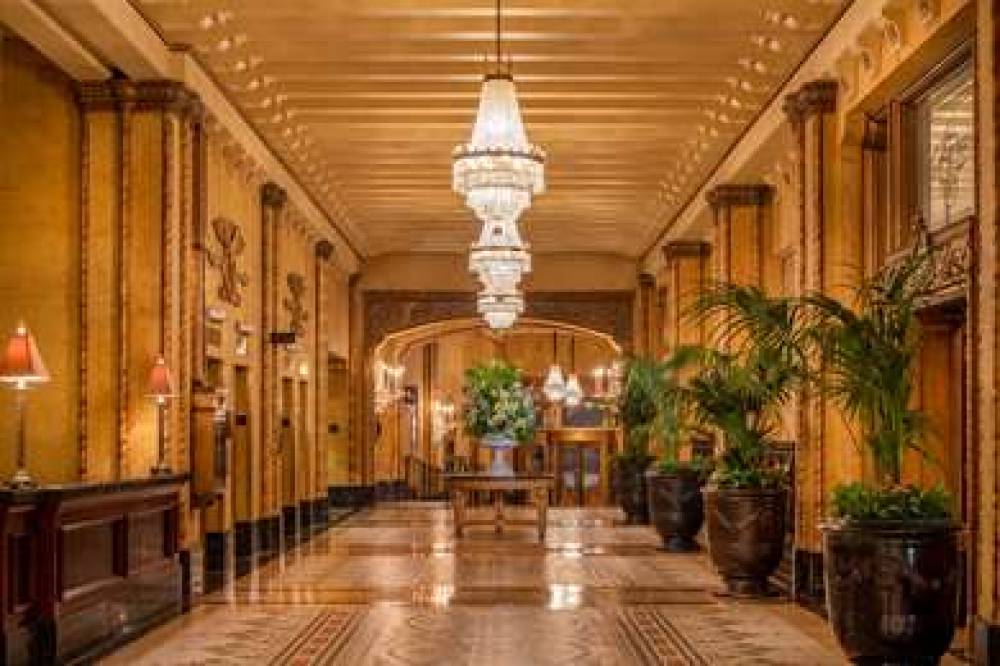 The Roosevelt New Orleans, A Waldorf Astoria Hotel 9