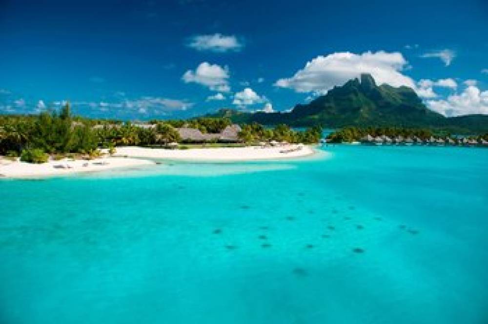 The St Regis Bora Bora Resort 9