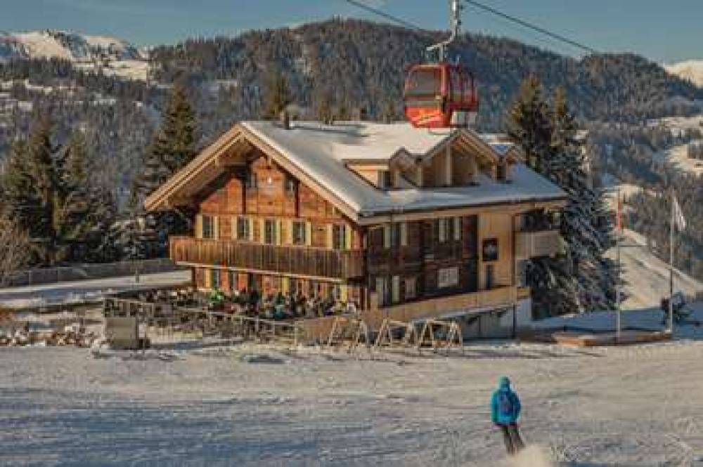 Top Rinderberg Swiss Alpine Lodge