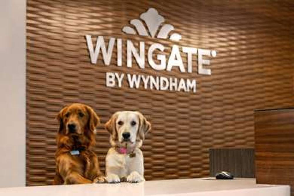 WINGATE BY WYNDHAM LETHBRIDGE 2