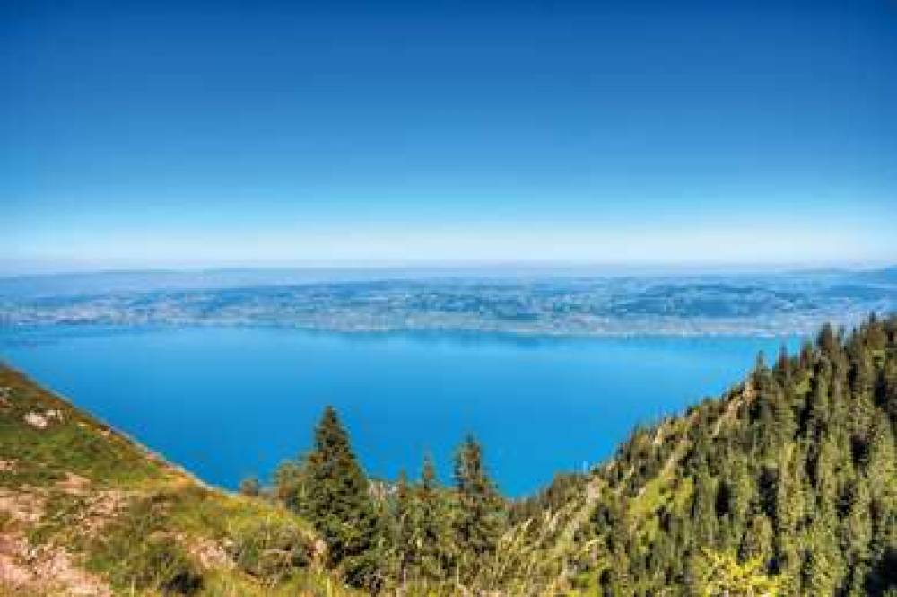 ZENITUDE LES TERRASSES DU LAC - EVI 4